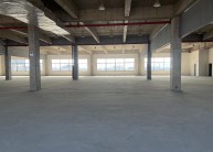 出租锦丰沙洲智造园全新厂房，底层9m带10t行车，5t货梯，价格低可分割！